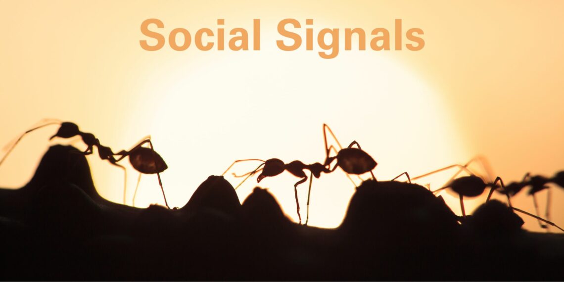 Social Signals